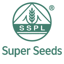 Logo 8